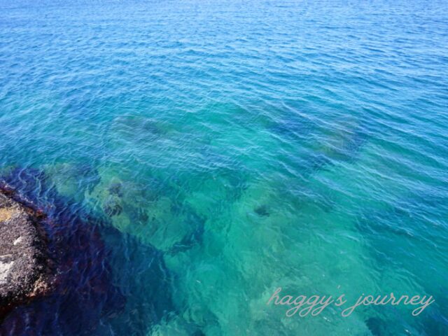 江差_かもめ島_海