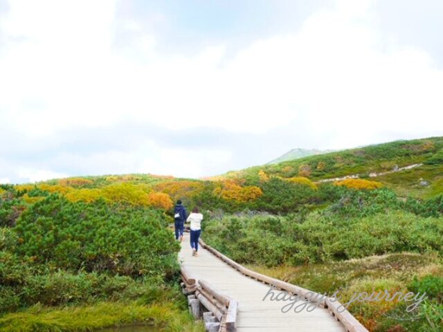 旭岳、登山