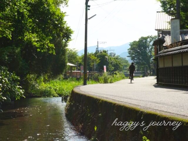 湯布院_のどかな景色