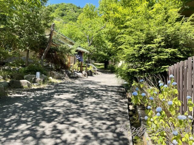 森乃百日氷へ続く道