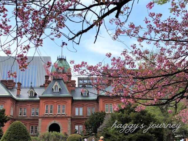 札幌_赤れんが庁舎