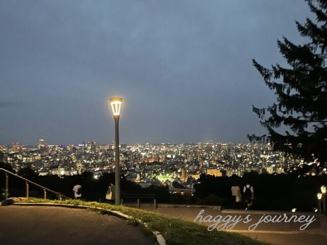 旭山記念公園_夜景