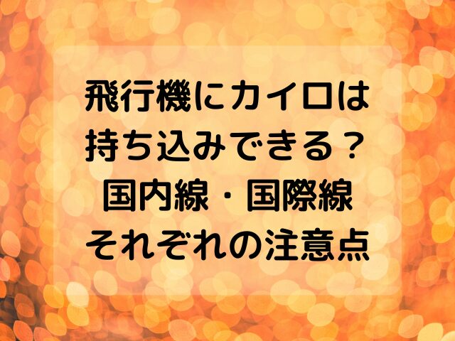 飛行機,カイロ,持ち込み