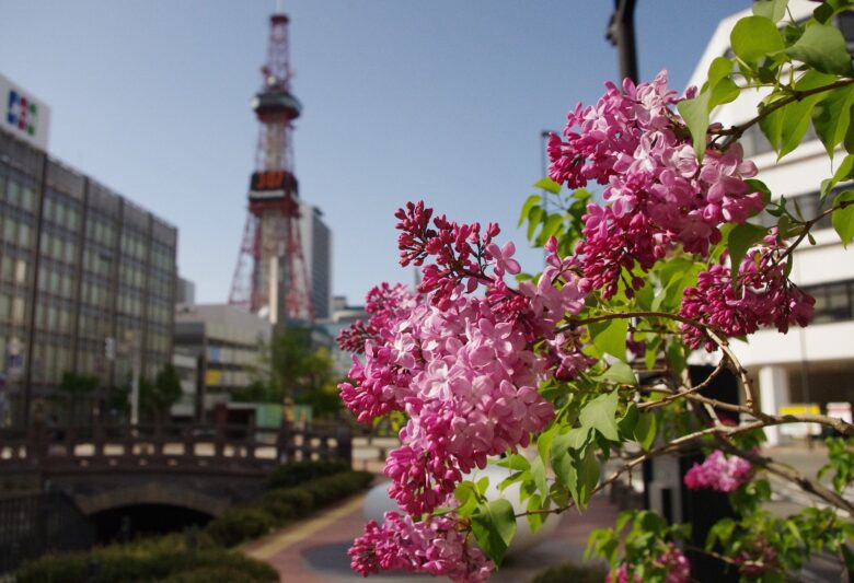 春の札幌