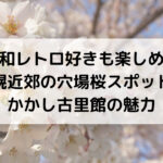 昭和レトロ好きも楽しめる札幌近郊の穴場桜スポット！かかし古里館の魅力