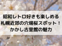 昭和レトロ好きも楽しめる札幌近郊の穴場桜スポット！かかし古里館の魅力