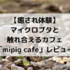 【癒され体験】マイクロブタと触れ合えるカフェ「mipig cafe」レビュー