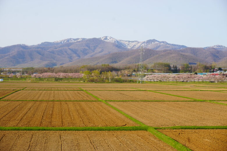 かかし古里館_田畑