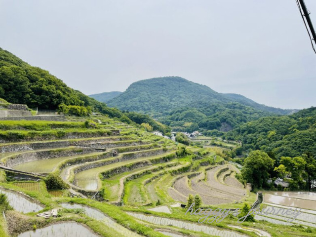 小豆島,中山千枚田