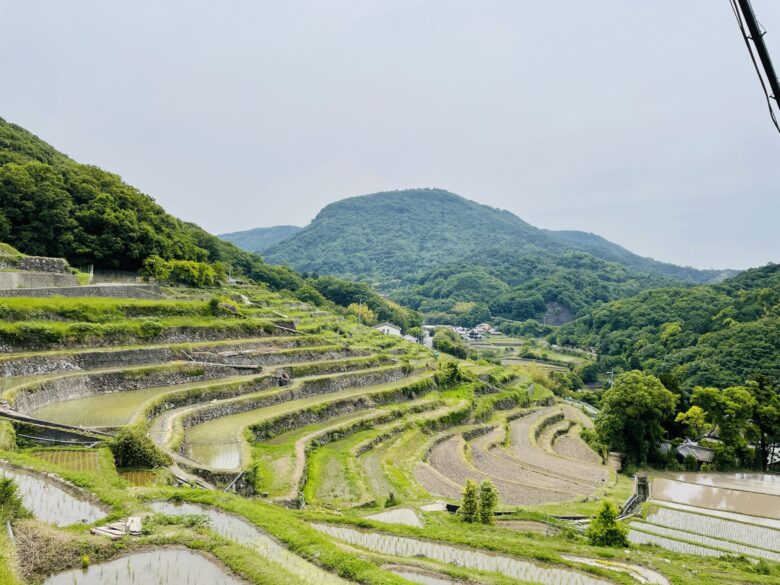 中山千枚田