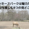 ノーザンホースパーク_見どころ
