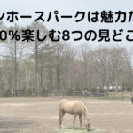 ノーザンホースパーク_見どころ