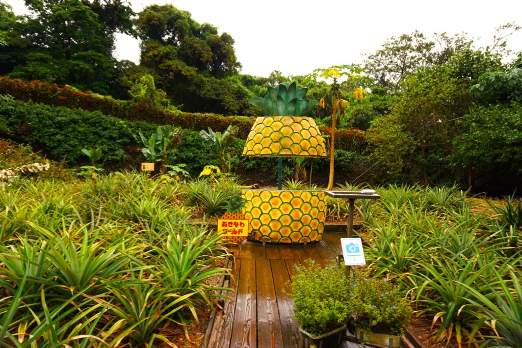 おきなわワールド_熱帯フルーツ園