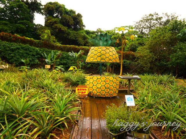 おきなわワールド_熱帯フルーツ園