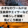 おきなわワールドは 玉泉洞やエイサーなど 沖縄らしさ凝縮！ 見どころ解説！