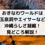 おきなわワールドは 玉泉洞やエイサーなど 沖縄らしさ凝縮！ 見どころ解説！