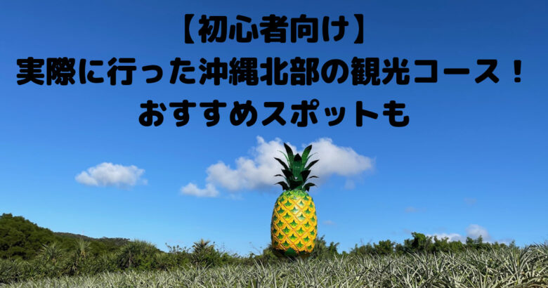 【初心者向け】 実際に行った沖縄北部の観光コース！ おすすめスポットも