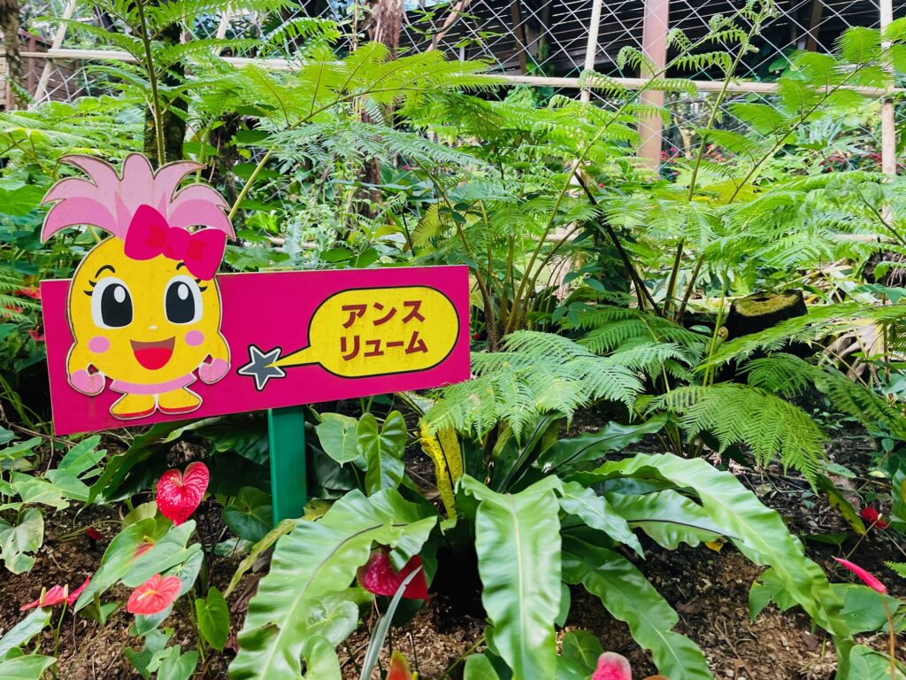 ナゴパイナップルパーク_植物