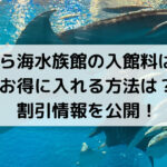 美ら海水族館,割引