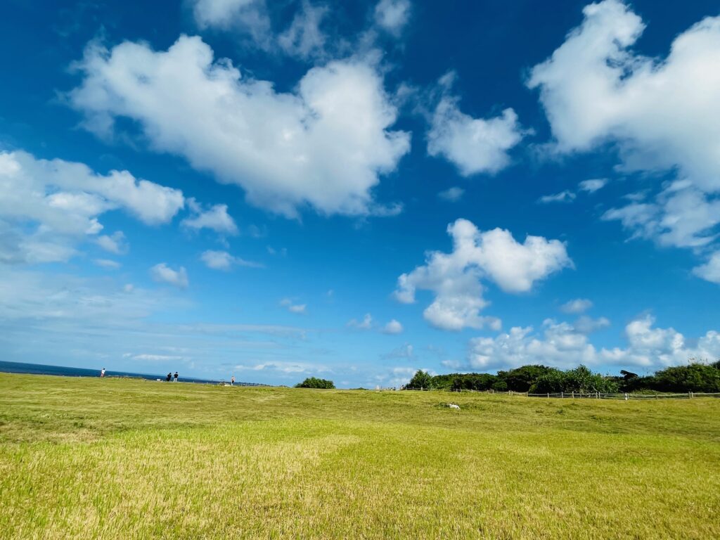 万座毛_芝生台地