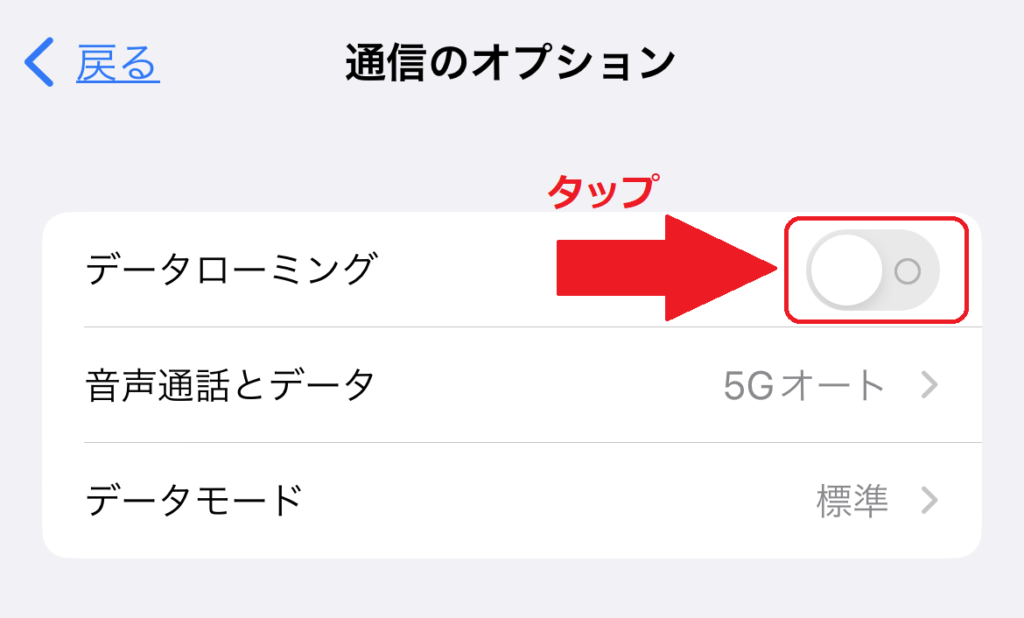 iPhone_データローミング