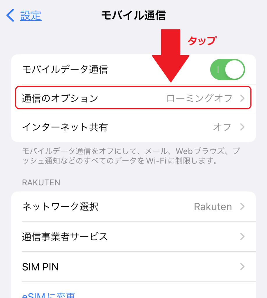 iPhone_通信のオプション