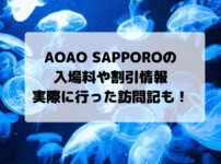 aoao,sapporo,入場料