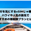 ギガを気にするeSIMじゃ嫌！ハワイや人気の旅先でおすすめの無制限プランとは？