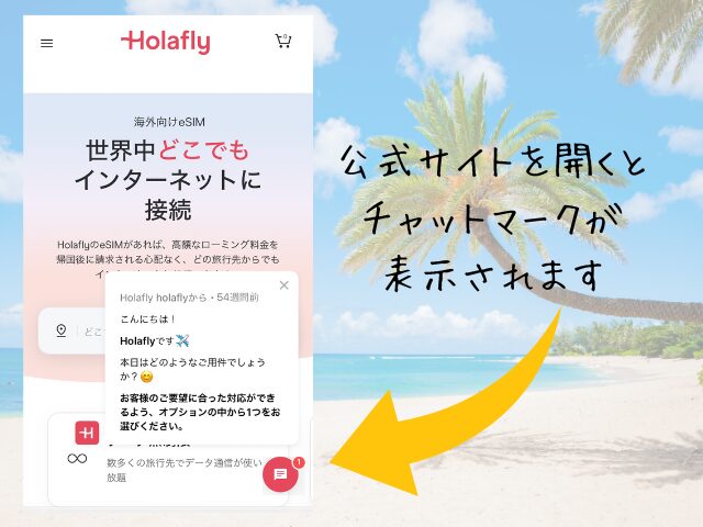 Holafly、チャット