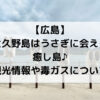 【広島】 大久野島はうさぎに会える癒し島♪ 観光情報や毒ガスについて