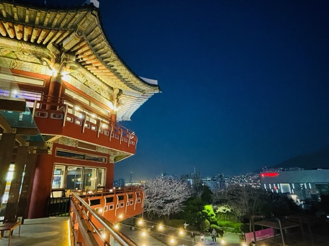 釜山タワー入口からの眺め