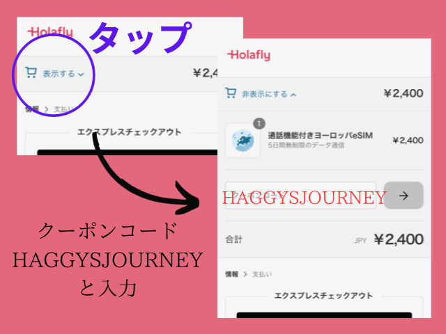 Holafly_スマホ_購入
