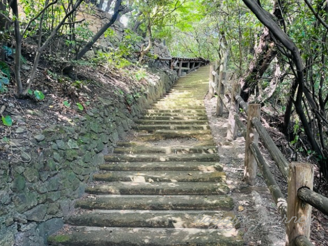 仙酔島_階段