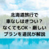 北海道旅行、車なし、きつい
