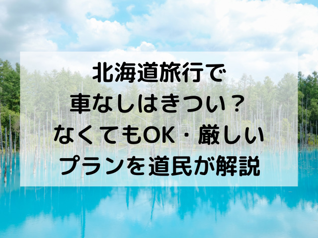 北海道旅行、車なし、きつい