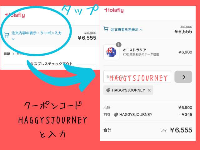 Holafly_スマホ_購入