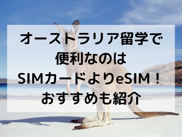 オーストラリア、留学、sim