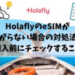 Holafly、繋がらない