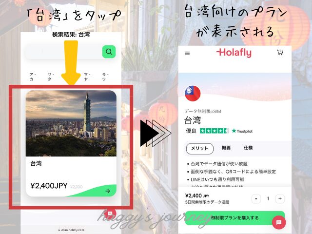 Holafly、買い方