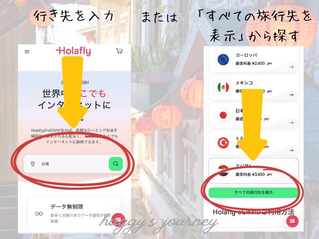 Holafly、買い方