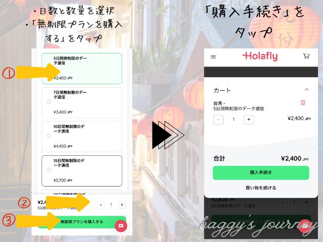 Holafly、買い方