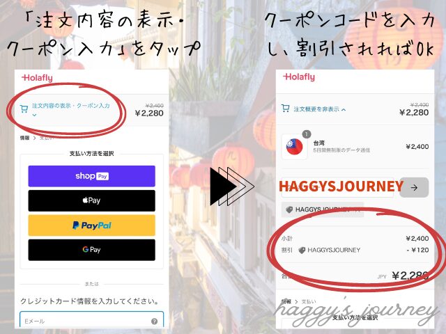 Holafly、買い方