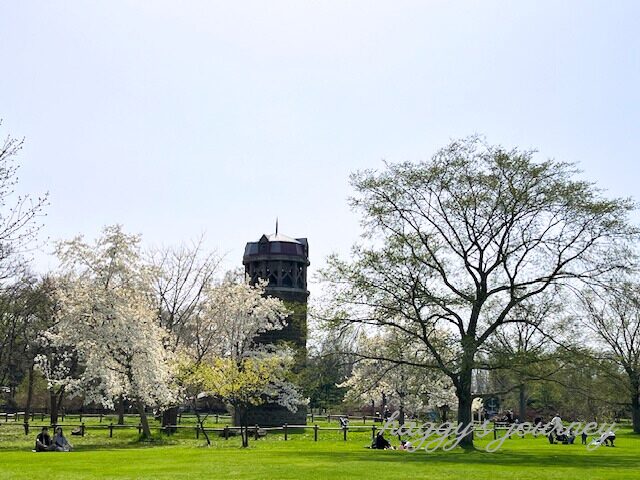 百合が原公園、広場