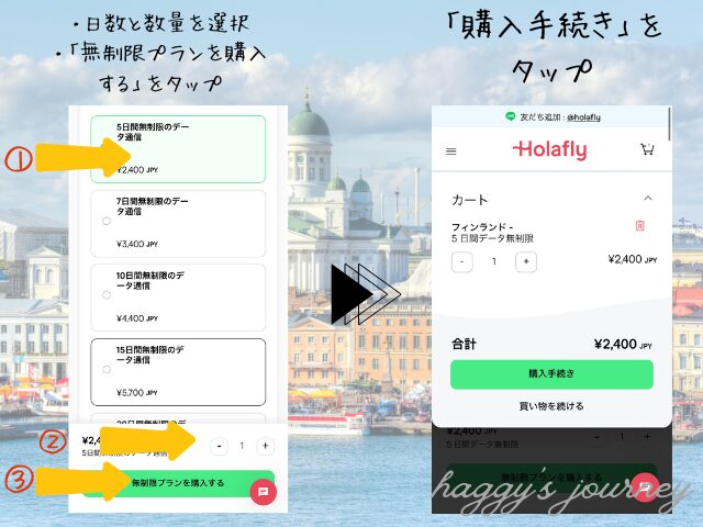Holafly,フィンランド向け購入手順
