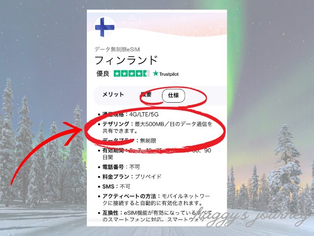 Holafly、テザリング