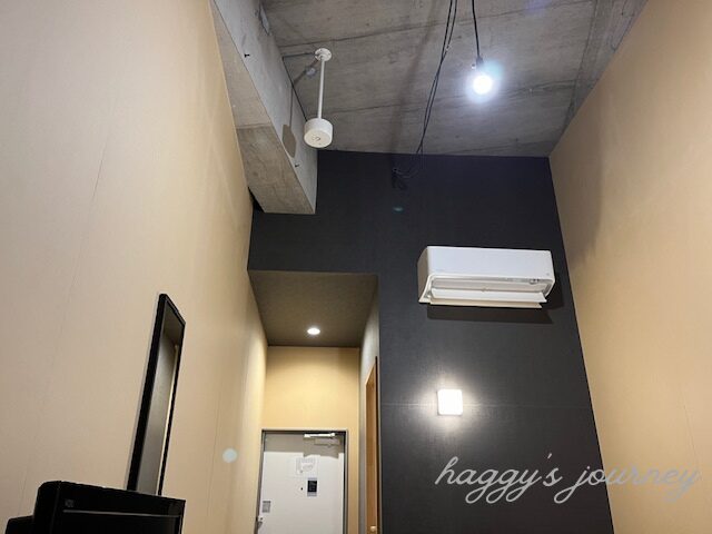 函館十字屋ホテル、部屋、天井