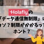 Holafly、制限
