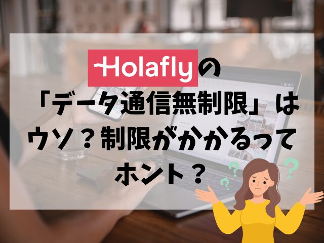 Holafly、制限
