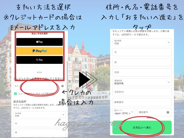 Holafly、購入手順