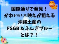 国際通、沖縄土産、FSGB & ふしぎブルー